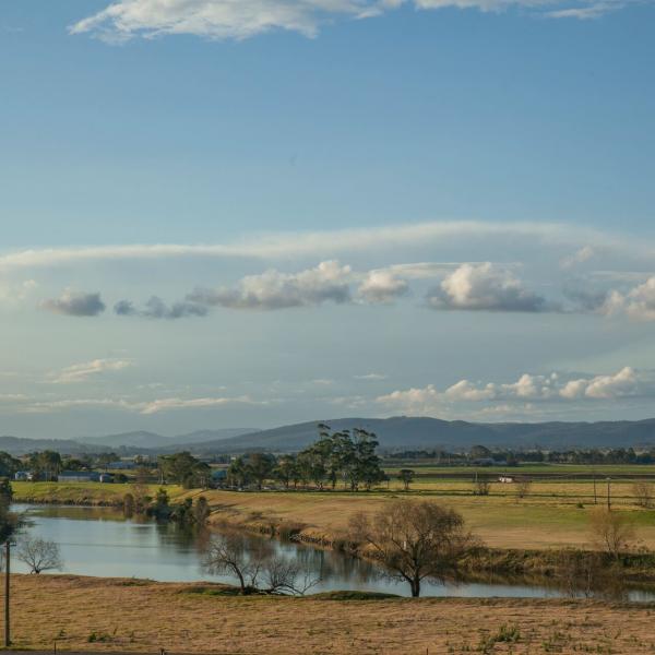 Rural landscape