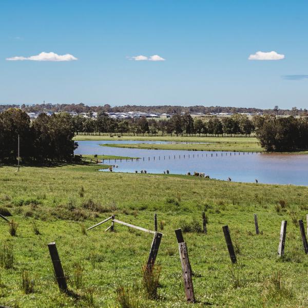 Rural area of Maitland
