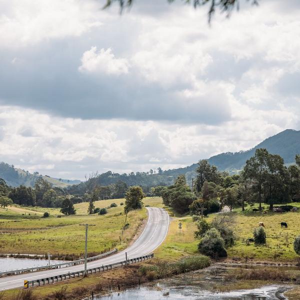 Landscape of Maitland