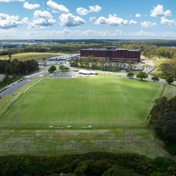 Aerial view of park