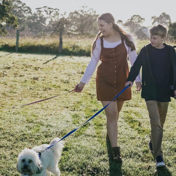 A boy and girl walking their dogs
