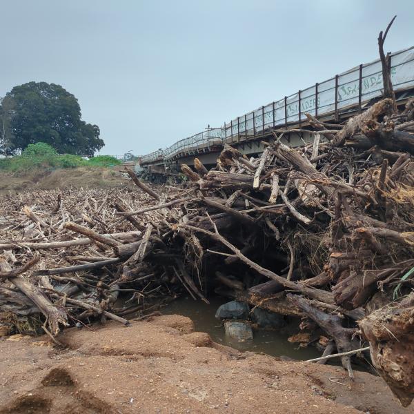 Flood debris at Melville Ford Bridge