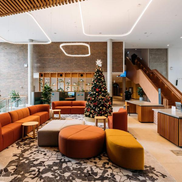Maitland Administration Centre foyer with a Christmas tree on display
