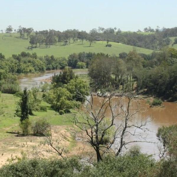 Maitland's Environmental Sustainability Strategy