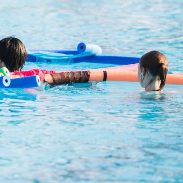 Maitland Aquatic Strategy