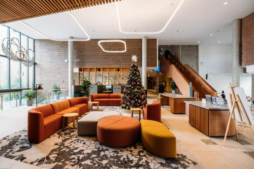 Maitland Administration Centre foyer with a Christmas tree on display