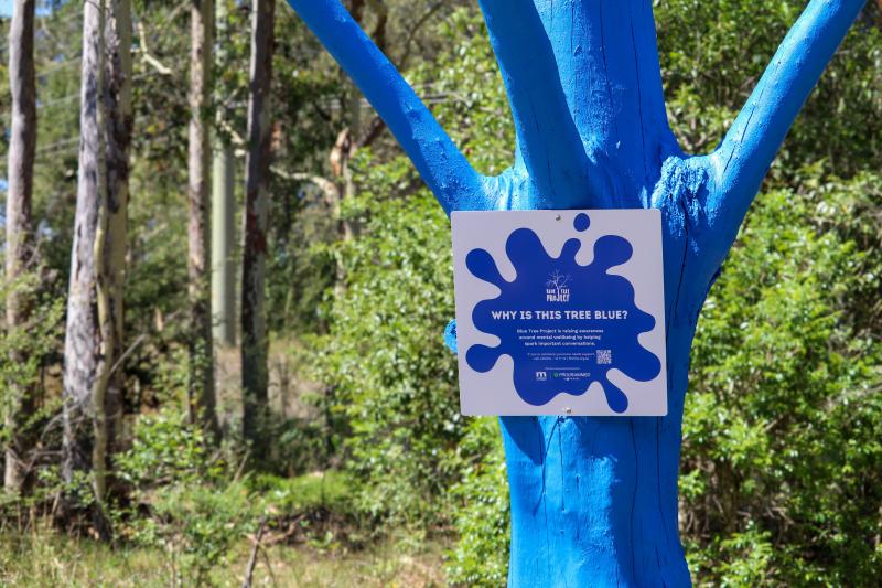 Blue Tree Program - Maitland