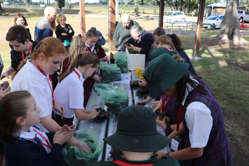 Treasuring Maitland's environment