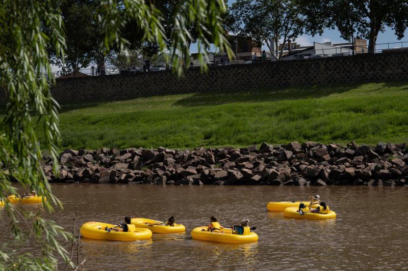Don't miss the boat when river regatta returns to Maitland this Australia Day