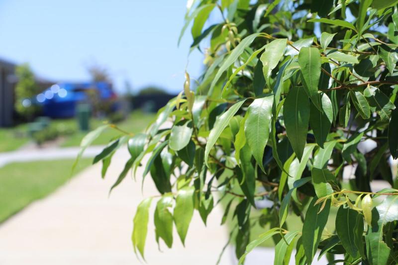Planning the future environmental journey for Maitland