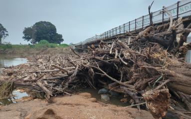 Flood debris at Melville Ford Bridge
