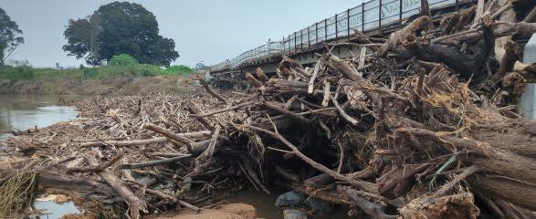 Flood debris at Melville Ford Bridge