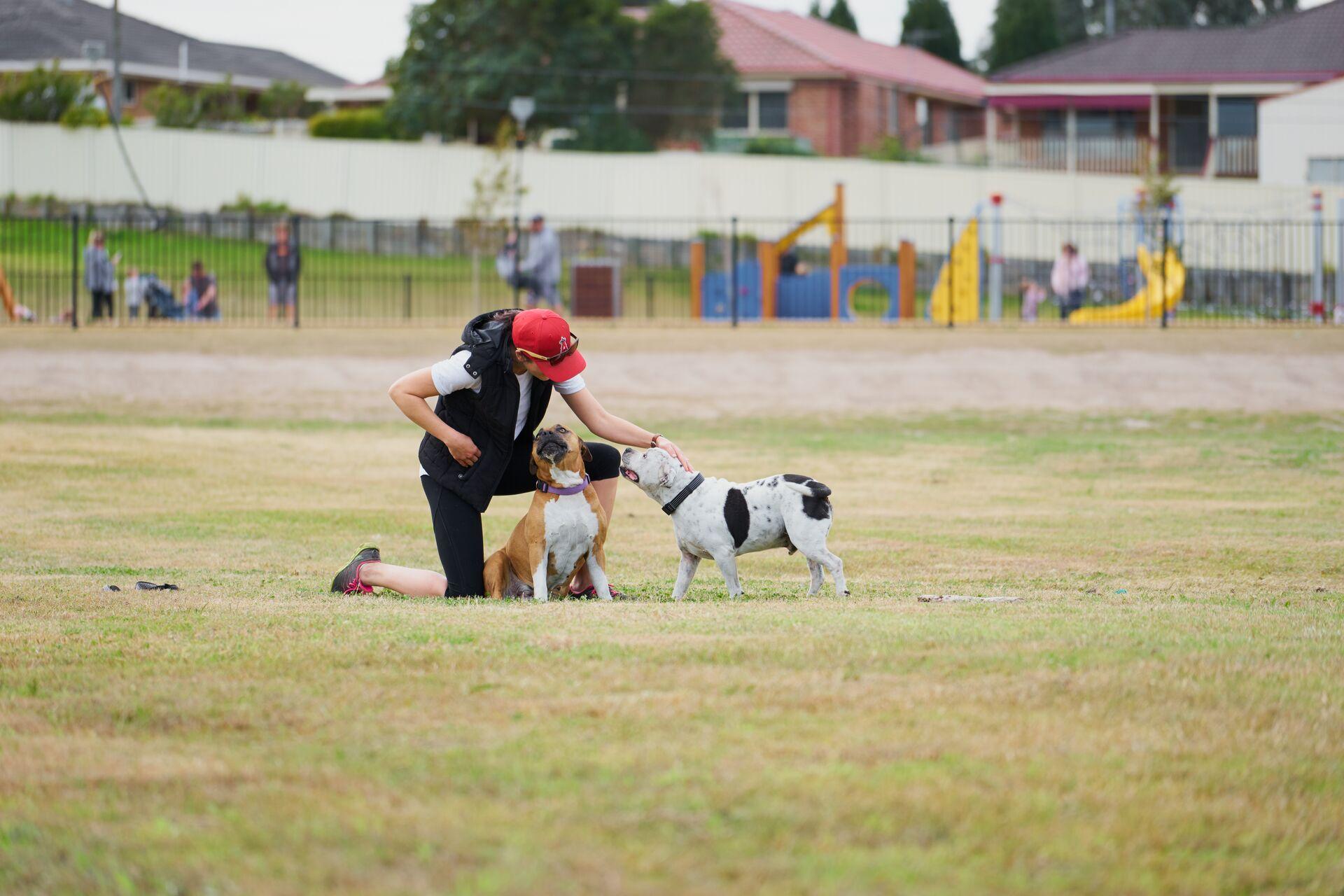 Lady training two dogs at Bakers Brickyard park