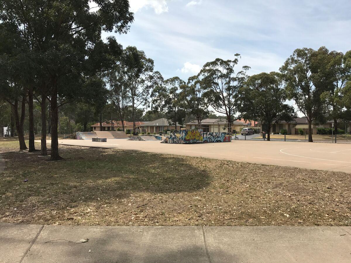 Grass area and skatepark in the background