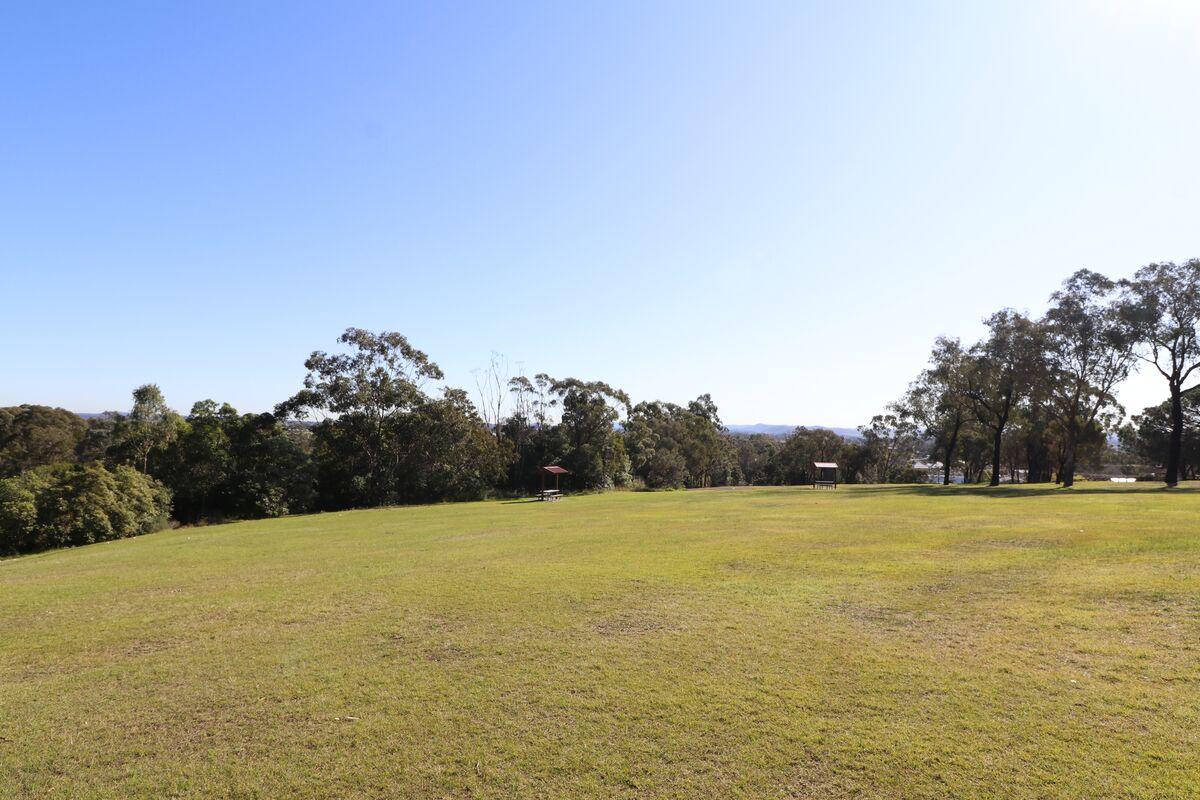 Grass area
