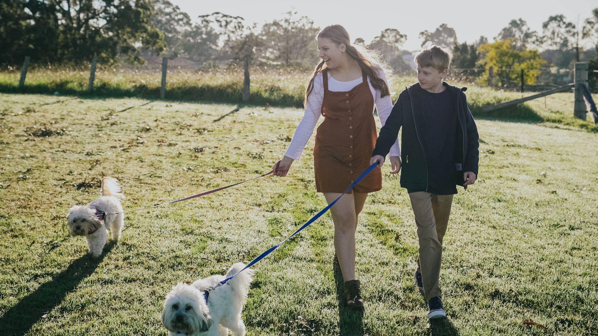 A boy and girl walking their dogs