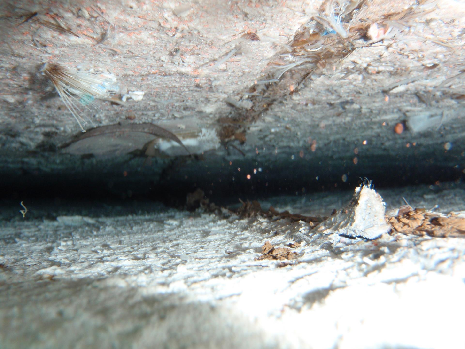 A gap between the tile and bottom of the pool. Taken July 2022. 